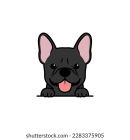 Cute french bulldog puppy black color cartoon, vector illustration