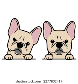 Cute french bulldog puppy cream color cartoon, vector illustration