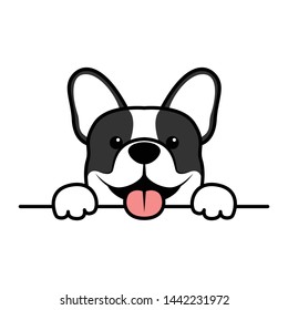 Cute french bulldog puppy paws up over wall, dog face cartoon, vector illustration