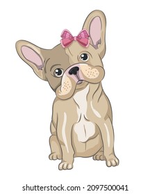 Cute French bulldog puppy with pink bow.