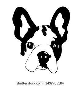 Cute French Bulldog puppy portrait on white, vector illustration