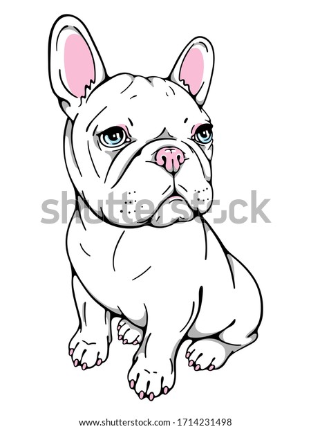 Cute French Bulldog Puppy Vector Illustration Stock Vector (Royalty ...