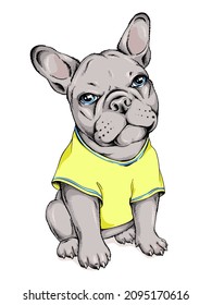 Cute french bulldog puppy in a yellow t-shirt. Vector illustration in hand-drawn style