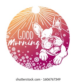 Cute french bulldog puppy.Good morning illustration