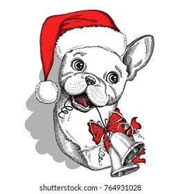 Cute French Bulldog in a red Santa Claus hat with Christmas bells. Hand drawn vector dog