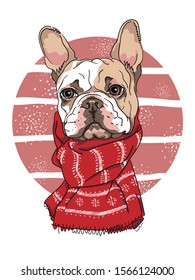 Cute french bulldog in a red scarf. Funny dog ​​in cartoon style