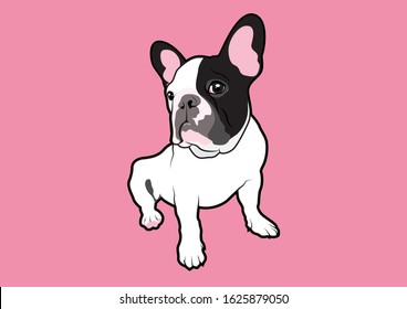 A cute French Bulldog is sitting on a pink background. Vector illustration style in a minimal color palette. Lonely Cute French Bulldog sitting alone, expressing isolation and longing.