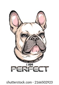 Cute French Bulldog Sketch. Vector Illustration In Hand-drawn Style . Image For Printing On Any Surface