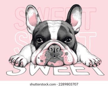 Cute french bulldog sketch  Vector illustration in hand  drawn style   Sweet illustration  Image for printing any surface
