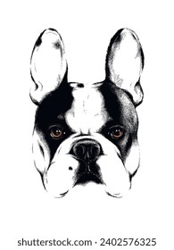 Cute french bulldog sketch. Vector illustration in hand-drawn style . Image for printing on any surface