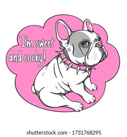 Cute french bulldog in a spiked collar. Bright and stylish image for printing on any surface