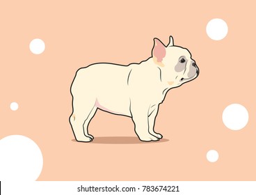 Cute French Bulldog Stand with Her Short Legs. An endearing vector portrayal of a cute French Bulldog standing confidently on her short legs, radiating charm and personality.