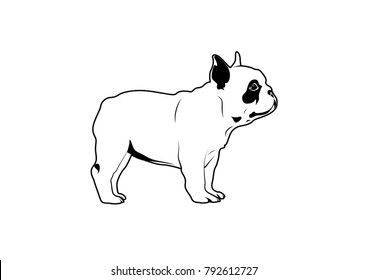 4,059 Bulldog line drawing Images, Stock Photos & Vectors | Shutterstock