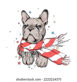 Cute french bulldog in a striped scarf. Vector illustration in hand-drawn style. Image for printing on any surface	