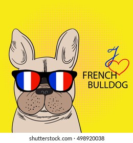 Cute French Bulldog with sunglasses. Vector Illustration