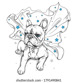 Cute french bulldog in a superhero cape. A dog in a cape with stars. Stylish image for printing on any surface