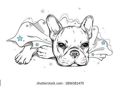 Cute french bulldog in a superhero cape. A dog in a cape with stars. Stylish image for printing on any surface