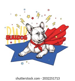 Cute French Bulldog Superhero Cape Bulldog Stock Vector (Royalty Free ...