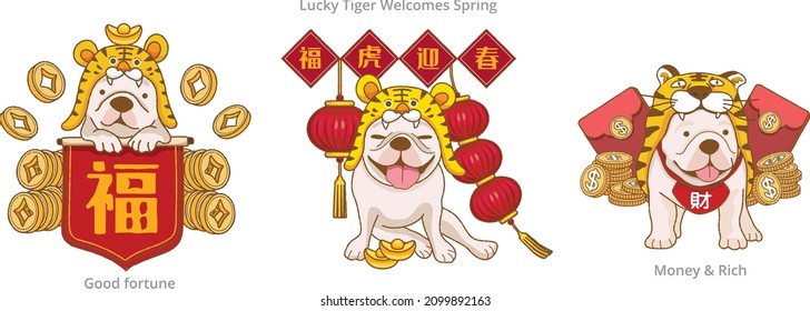 Cute  French bulldog wearing tiger costume and with The red spring couplets say blessings and Lucky tiger welcome the spring to celebrate Chinese New Year