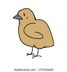 Cute french farmhouse baby chick vector clipart. Hand drawn rustic style poultry. Chicken country style illustration for farm graphic EPS 10. 