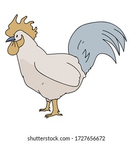 Cute french farmhouse cockerel vector clipart. Hand drawn rustic style poultry. Chicken country style illustration for farm graphic EPS 10. 