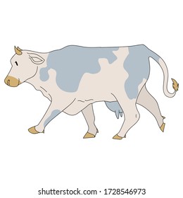 Cute french farmhouse cow vector clipart. Hand drawn shabby chic style country farm kitchen. Illustration of bovine farm animal livestock ranch graphic. Heifer graphic EPS 10. 