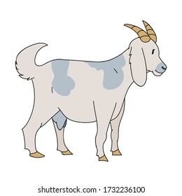 Cute french farmhouse goat vector clipart. Hand drawn shabby chic style country farm kitchen. Illustration of chevon farm animal livestock ranch graphic. Horned graphic EPS 10. 
