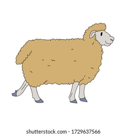 Cute french farmhouse sheep vector clipart. Hand drawn shabby chic style country farm kitchen. Illustration of mutton farm animal livestock ranch graphic. Lamb graphic EPS 10. 
