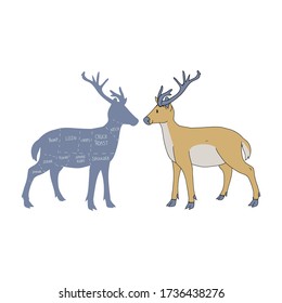 Cute french farmhouse stag with butcher chart vector clipart. Hand drawn shabby chic style country farm kitchen. Illustration of venison farm animal livestock ranch graphic. Doe graphic EPS 10. 