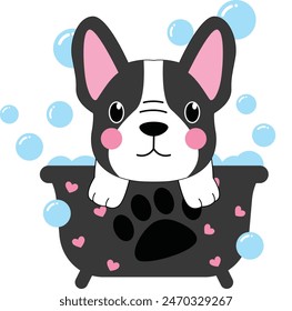 Cute Frenchbulldog in bath tub