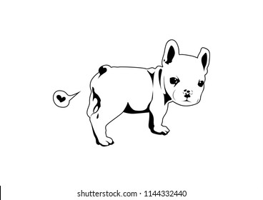 Cute Frenchie The Bulldog Fart Of Love in Black and White. French bulldog puppy stands and looks back at you and then shows you how he loves you in his style.