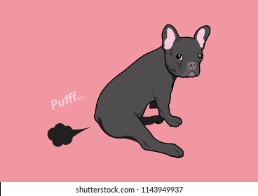 Cute Frenchie The Bulldog and His Little Fart. When he sits and feels relaxed, he can't control his little anus anymore.