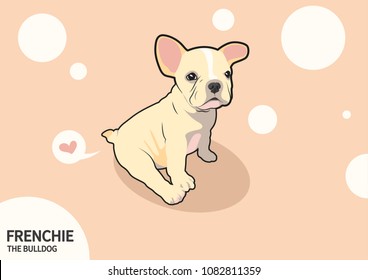 Cute Frenchie The Bulldog and A Little Fart. French bulldog sits down in leisurely style and then feels fart as a love language communication.