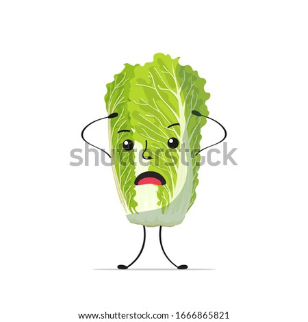 cute fresh green chinese cabbage character holding head tasty mascot vegetable personage healthy food concept vector illustration