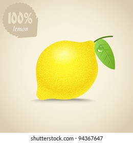 Cute fresh lemon illustration