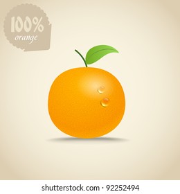 Cute fresh orange illustration