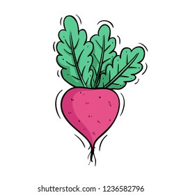 cute fresh radish with colored doodle style