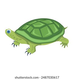 Cute Freshwater Turtles Flat Icons