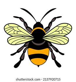 Cute friendly bee. Bee illustration vector Design template. Bumblebee, Bombus, wasp. Insect character. 