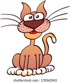 Cute friendly brown cat while seated, smiling, staring at you and expecting animatedly that something happens 