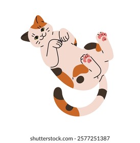 Cute friendly cat lying on its back, seeking attention, love. Happy kitten relaxes in funny pose, belly up. Amusing kitty, pet, animal has a rest. Flat isolated vector illustration on white background