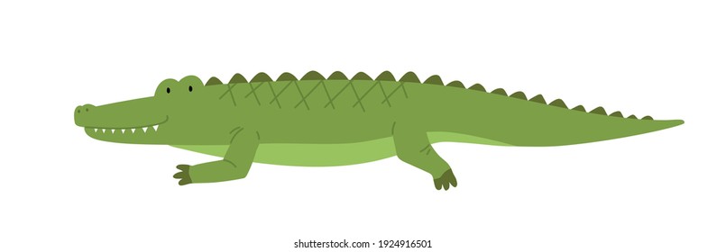 Cute friendly crocodile. Side view of happy smiling alligator isolated on white background. African wild baby gator. Childish colored flat cartoon vector illustration