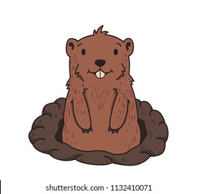 Cute friendly groundhog looking out from the burrow on white background. Groundhog day. Line vector illustration. Colored cartoon style, isolated.