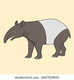Cute friendly wild animal, black and white tapir.