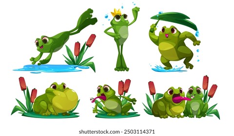 Cute frog cartoon character mascot in different poses - green pond animal toad jump into water, stand with crown, cover head with leaf during rain, sit on grass and reed, catch insect with tongue.