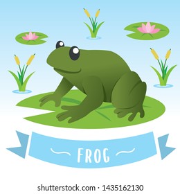 Cute frog cartoon. Cartoon frog sitting on the lily water. Water lily leaf and flower, Vector illustration