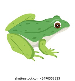 Dibujos animados de rana linda iconos planos 
