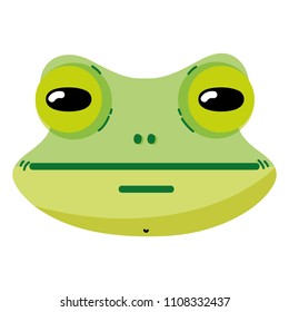 cute frog head wild animal