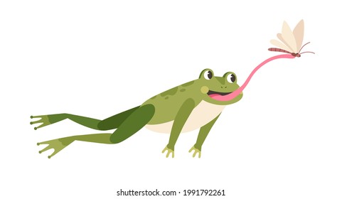 Cute frog hunting butterfly. Funny hungry toad jumping and catching flying insect with tongue. Happy little froglet. Colored flat vector illustration of froggy hunter isolated on white background