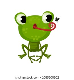 Cute frog hunting on mosquito. Flat vector icon of funny green toad. Cartoon character of amphibian animal